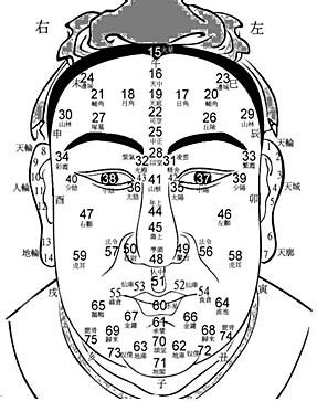 臉像算命